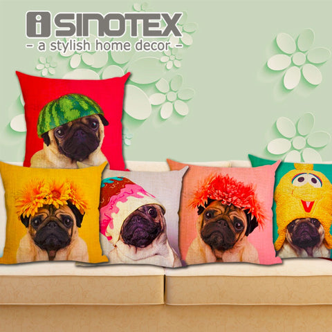Colorful Pugs