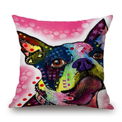 Colorful Chihuahua, Bull Terrier, Pit Bull, Dog, Cat