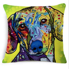 Colorful Chihuahua, Bull Terrier, Pit Bull, Dog, Cat