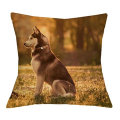 Husky Cushion Cover