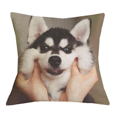 Husky Cushion Cover
