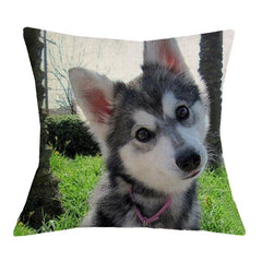 Husky Cushion Cover
