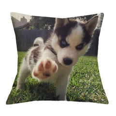 Husky Cushion Cover