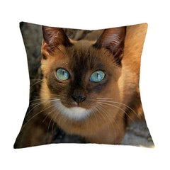 Cute Cat Print Cushion Cover - Variety
