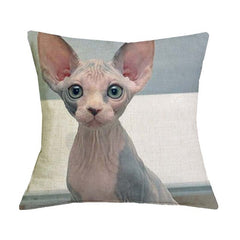 Cute Cat Print Cushion Cover - Variety