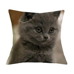 Cute Cat Print Cushion Cover - Variety