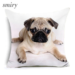 Bear, horse, bull, pug, wolf