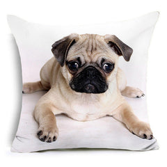 Bear, horse, bull, pug, wolf