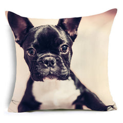 Bear, horse, bull, pug, wolf