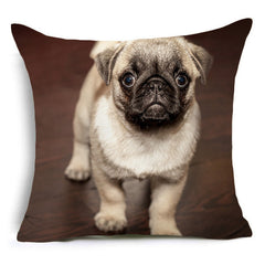 Bear, horse, bull, pug, wolf