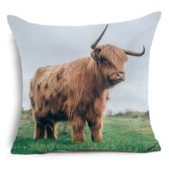 Bear, horse, bull, pug, wolf